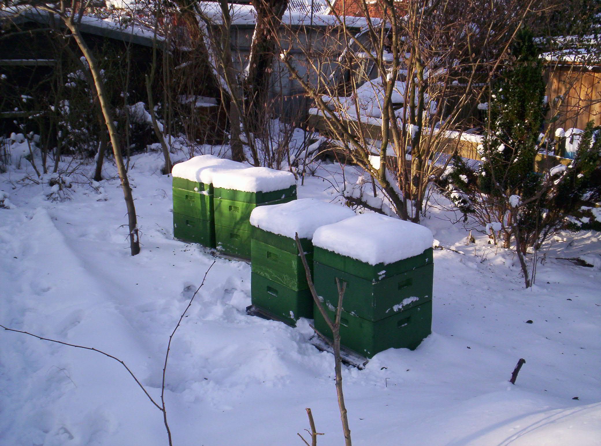 Bienen auf dem Lande